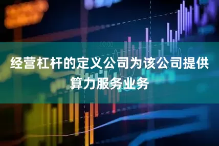 经营杠杆的定义公司为该公司提供算力服务业务