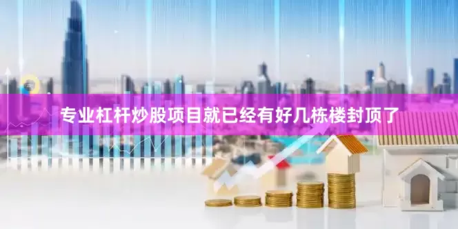 专业杠杆炒股项目就已经有好几栋楼封顶了