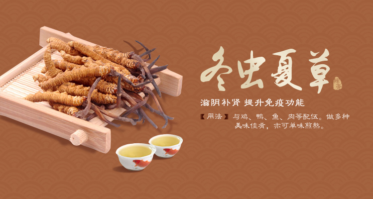 中醫(yī)智慧，草本養(yǎng)生——中草藥開啟健康生活